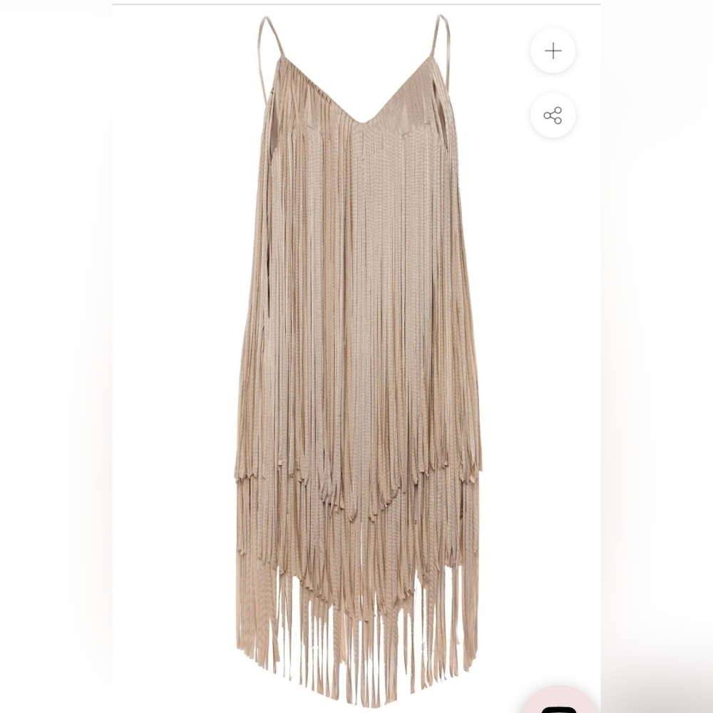 Elegant Tan Fringe Dress